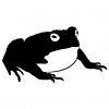 BlackToad's Avatar