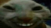 jimjamm's Avatar